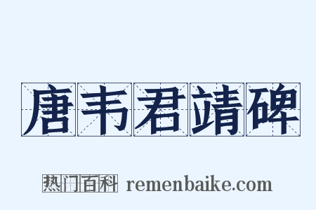 唐韦君靖碑是什么意思的图片